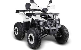 A101'e 20 Haziran'da Uygun Fiyatlı Benzinli ATV Geliyor
