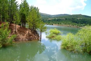 Yozgat Milli Çamlık Parkı